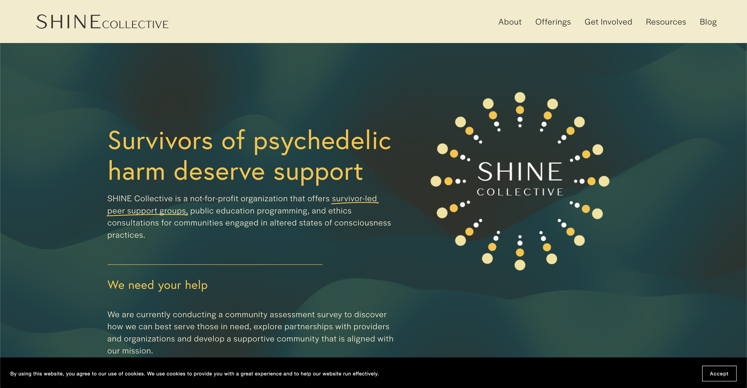 SHINE Collective: project screenshot