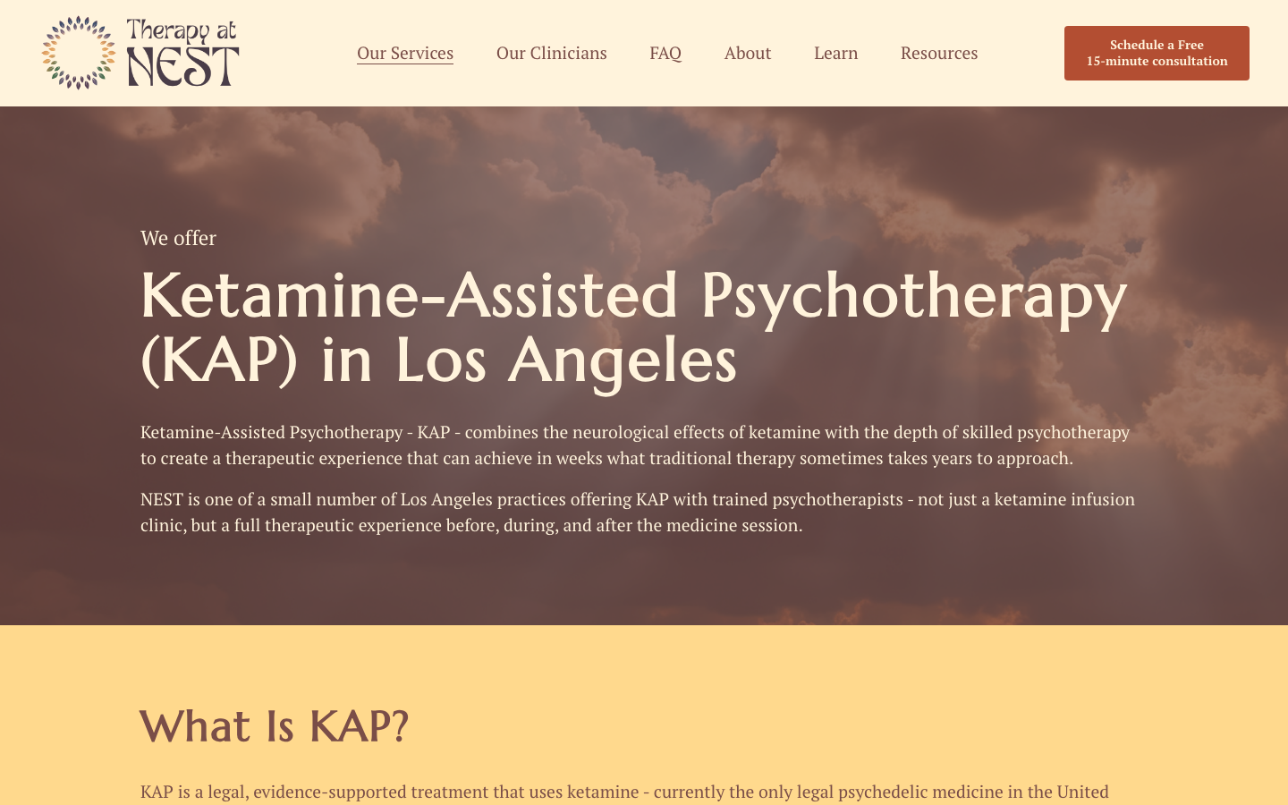 Therapy at NEST: kap service page
